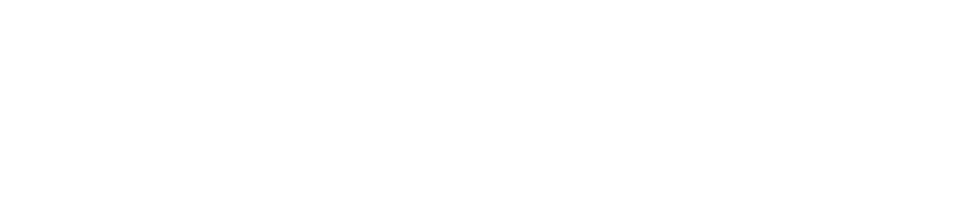 321-3212008_symantec-norton-healthcare-logo