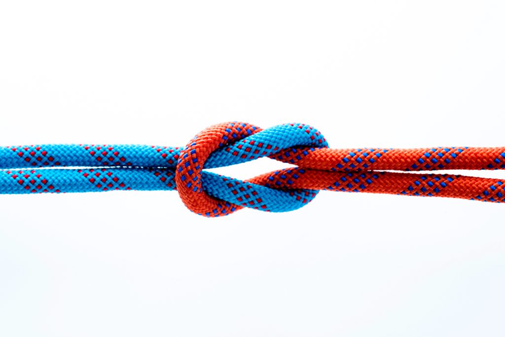 Lasting Supplier Partnerships